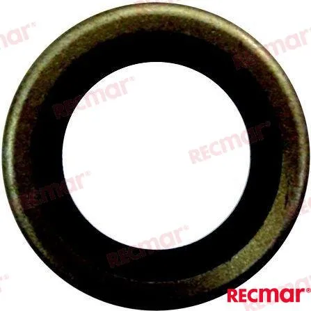 OIL SEAL