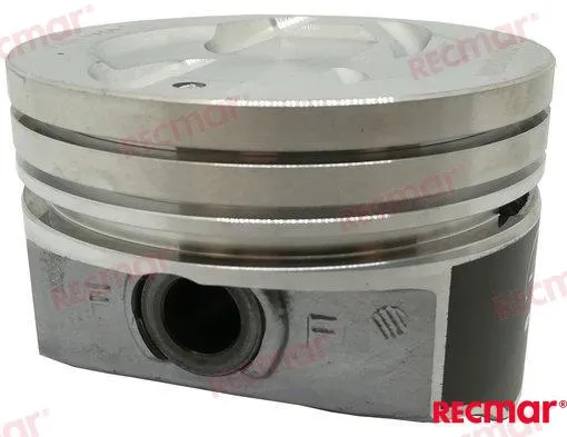 PISTON: 262,350