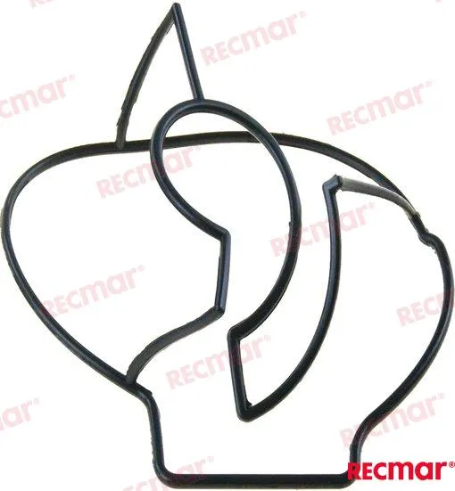 O-RING