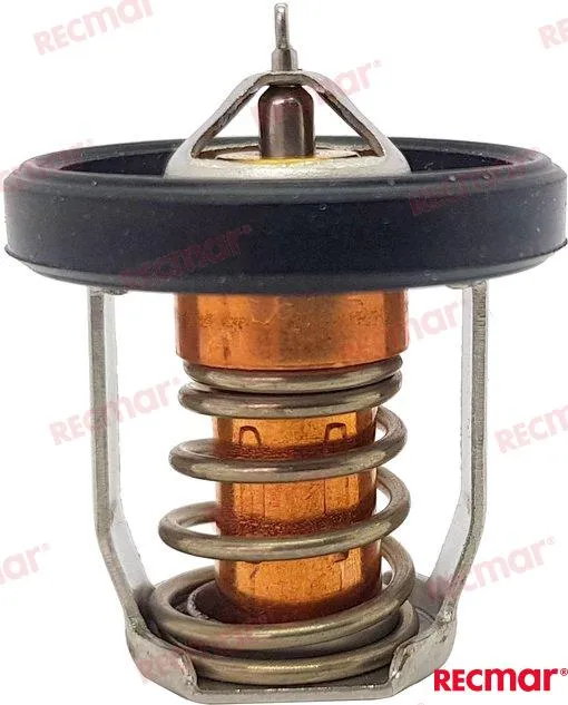 THERMOSTAT 60ºC