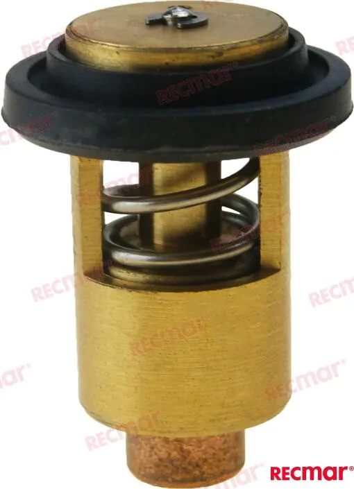 THERMOSTAT