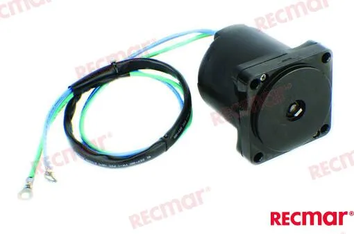 TRIM MOTOR