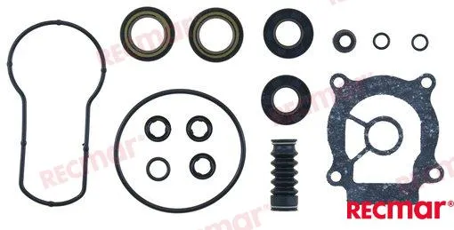 LOWER UNIT SEAL KIT