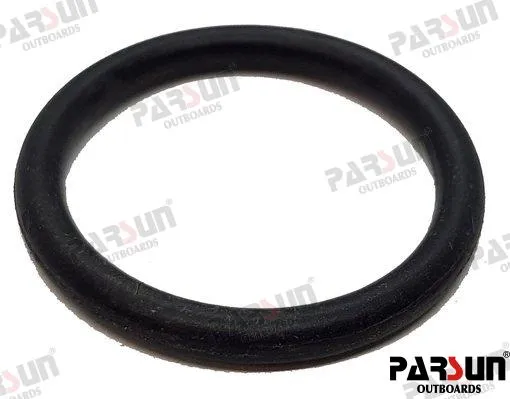 O-RING 24.7X3.1