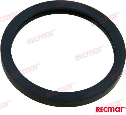 SEAL THERMOSTAT