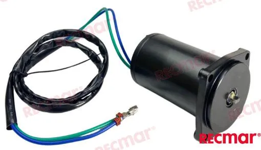 TRIM MOTOR E-TEC