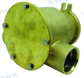 RAW WATER PUMP