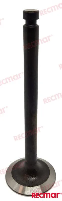 INTAKE VALVE