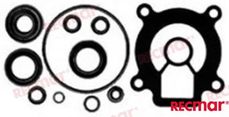 LOWER UNIT SEAL KIT