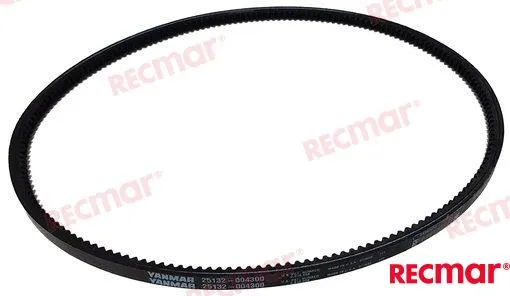 ALTERNATOR BELT