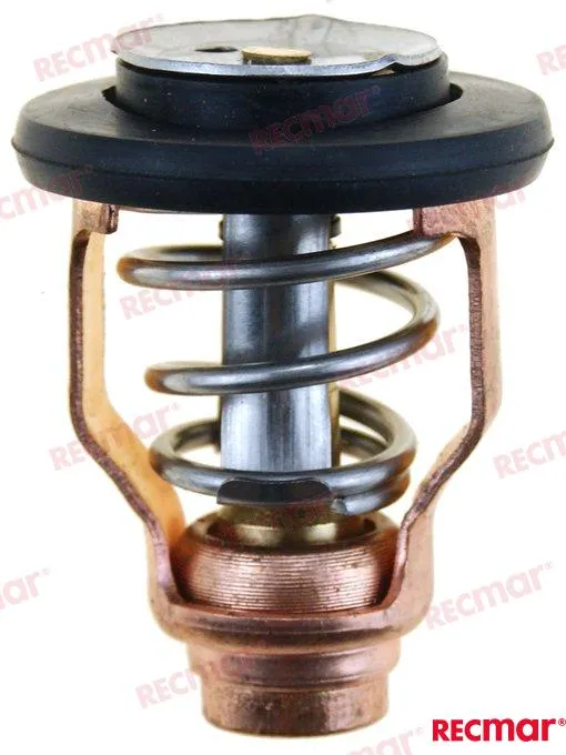 THERMOSTAT