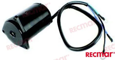TRIM MOTOR