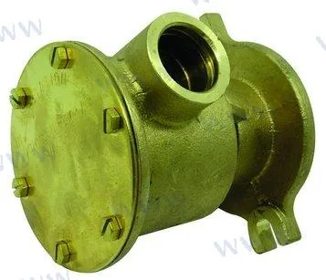 RAW WATER PUMP