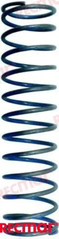 VALVE SPRING