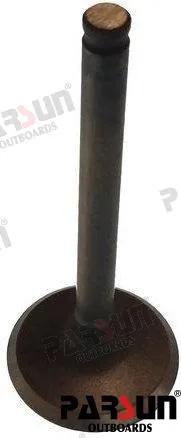 INTAKE VALVE