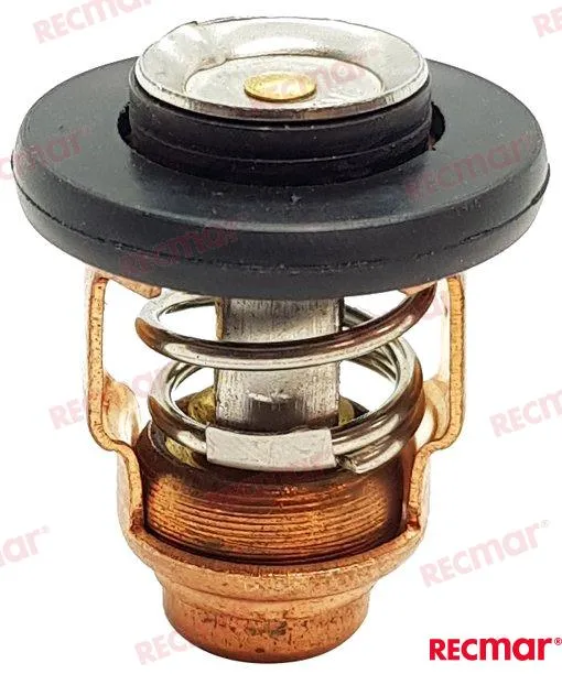 THERMOSTAT 50º-60ºC