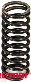 VALVE SPRING