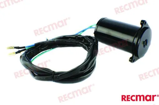 TRIM MOTOR