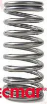 VALVE SPRING