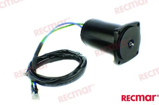 TRIM MOTOR ASSY