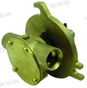 RAW WATER PUMP