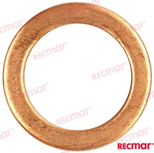 GASKET DRAIN OIL