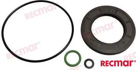 GASKET SET LOWER UNIT DPH
