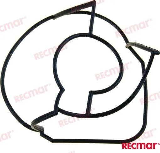O-RING