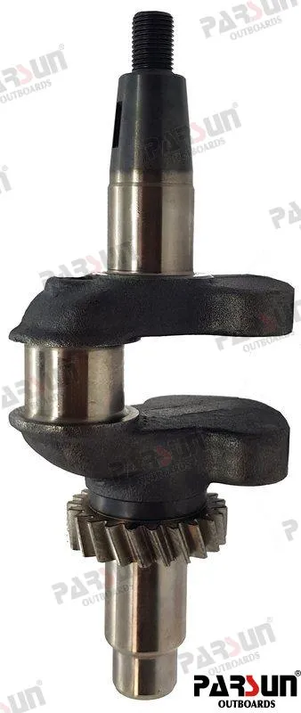 CRANK ASSY
