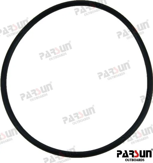 O-RING